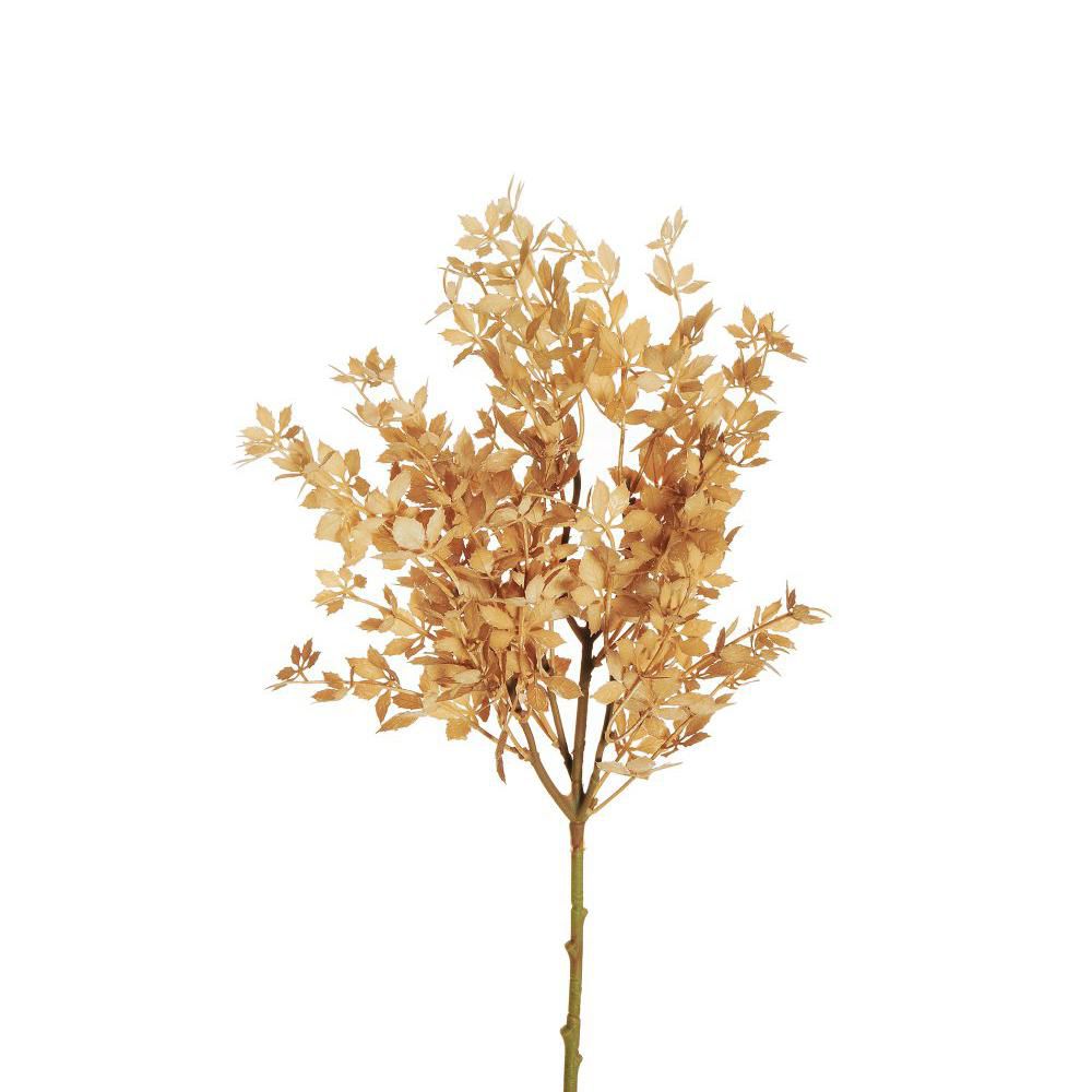 MINI AMERICAN GRAPE RAMO 24FG CM.59 CREMA-MARRONE CHIARO