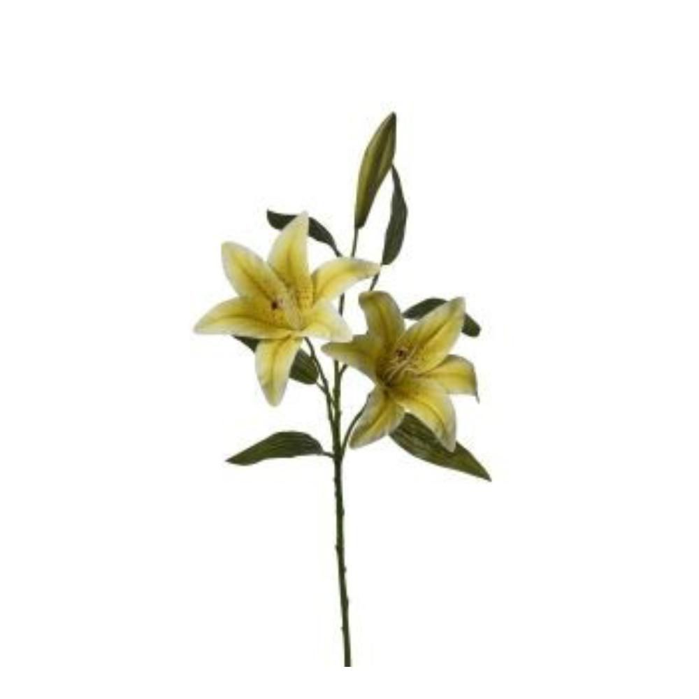 LILIUM RAMO CM.73 GIALLO
