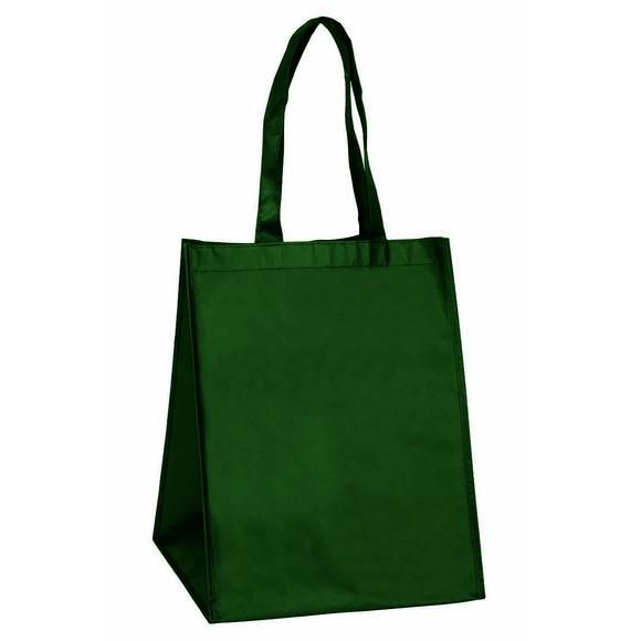 SET 10 SHOPPERS TNT PORTAPANETTONE 31X31X40 CM VERDE