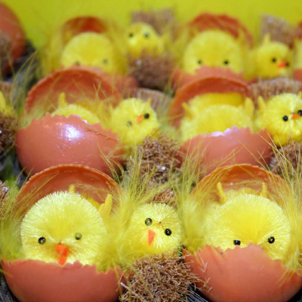 SET 12 PULCINI C/UOVO ME