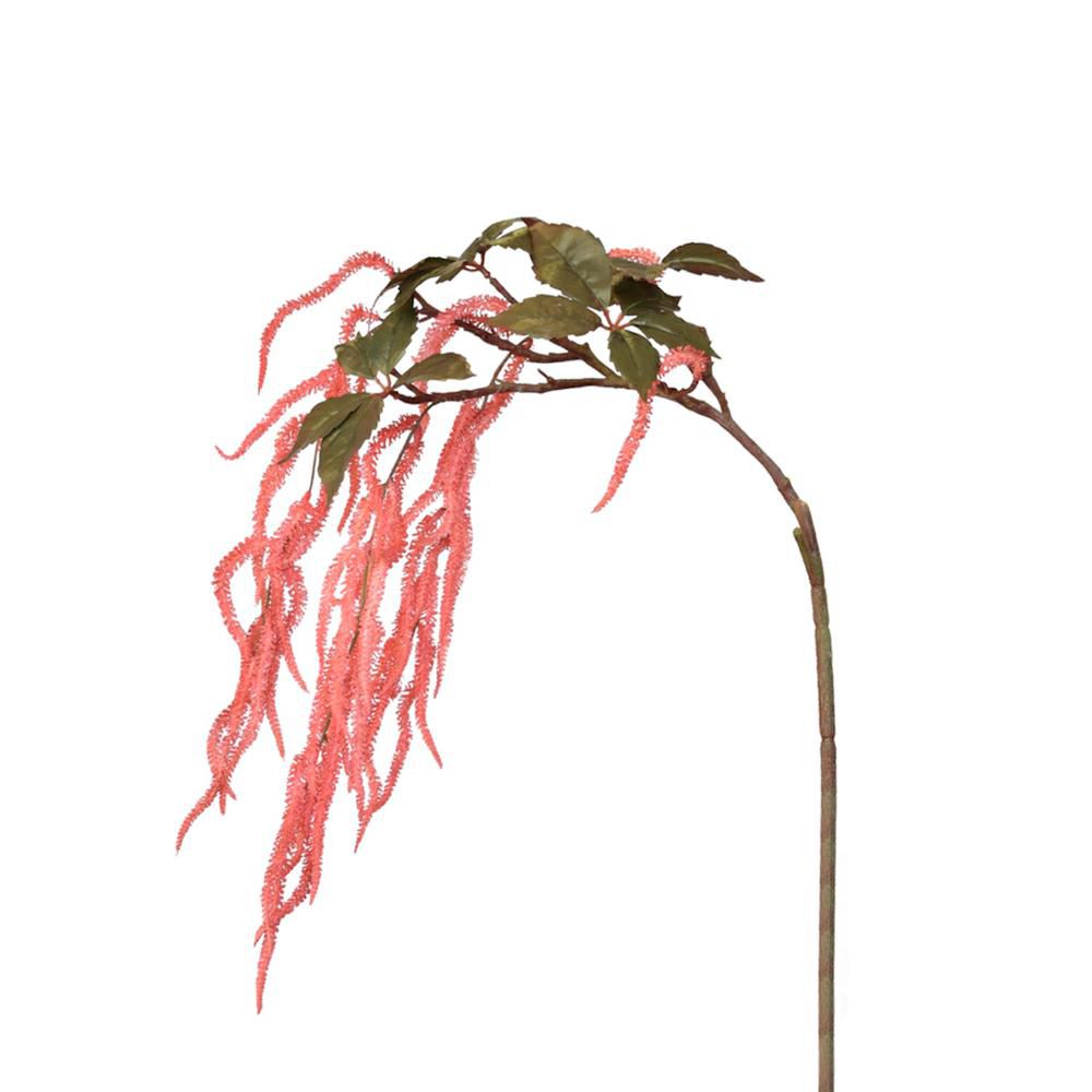 SAGGY CATERPILLAR CM.106 BORDEAUX