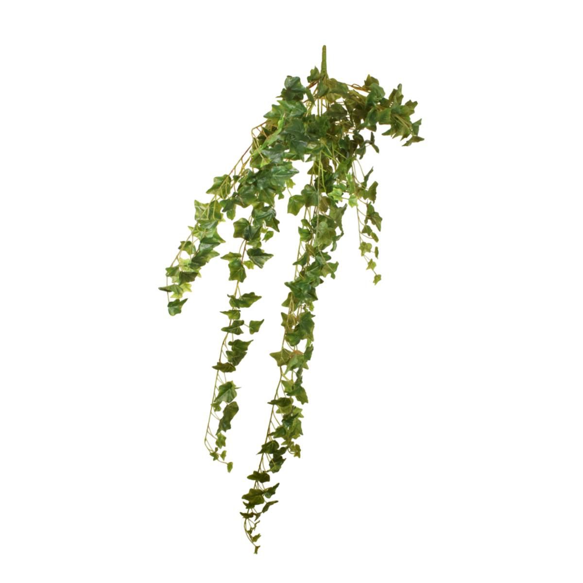 EDERA MINI BUSH 303F CM.140 VERDE