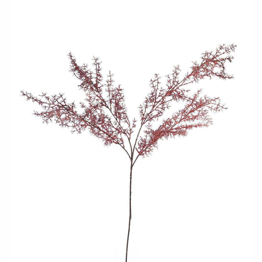 ASPARAGUS RAMO 4X CM.115 BURGUNDY