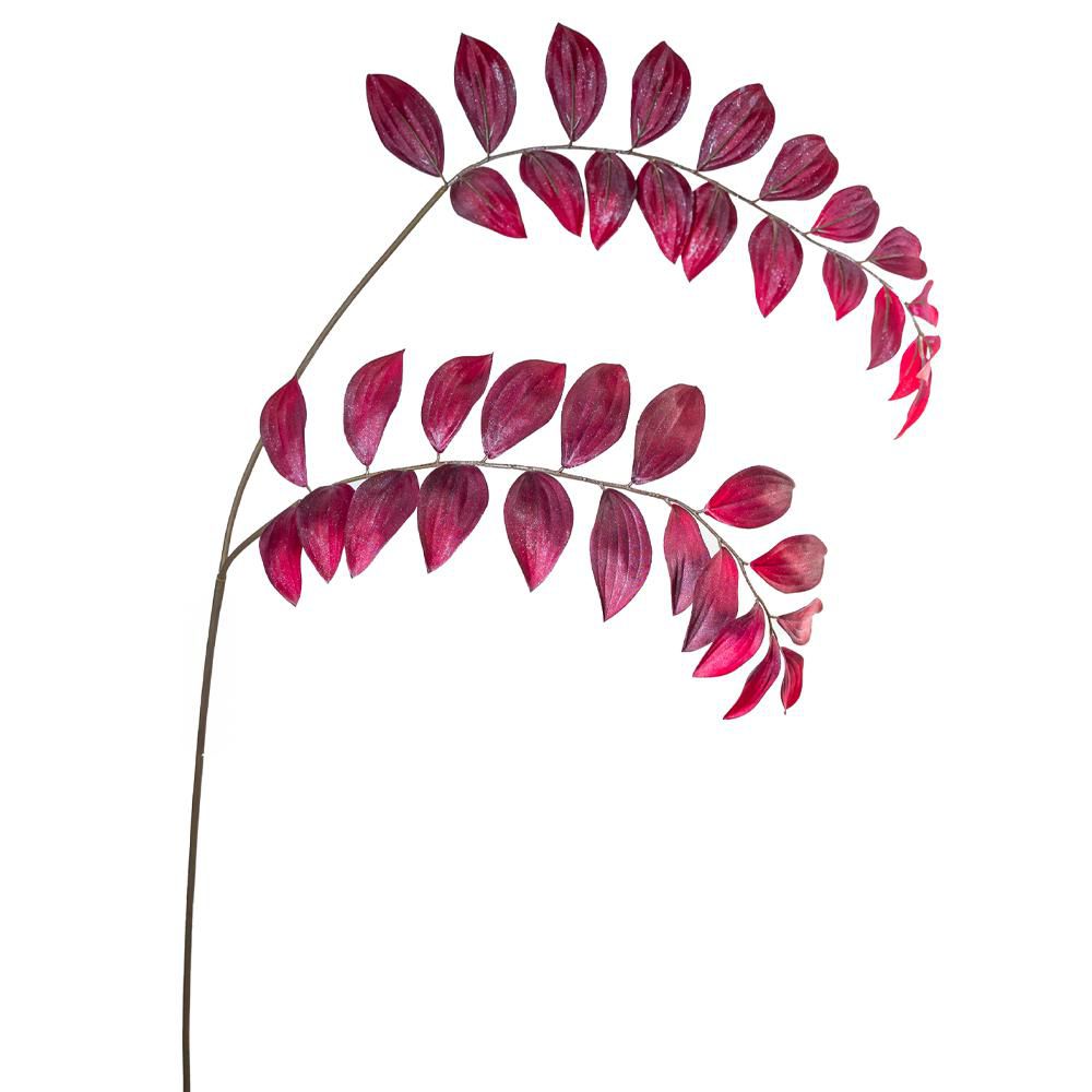 ZAMIA RAMO 2X CM.110 BORDEAUX