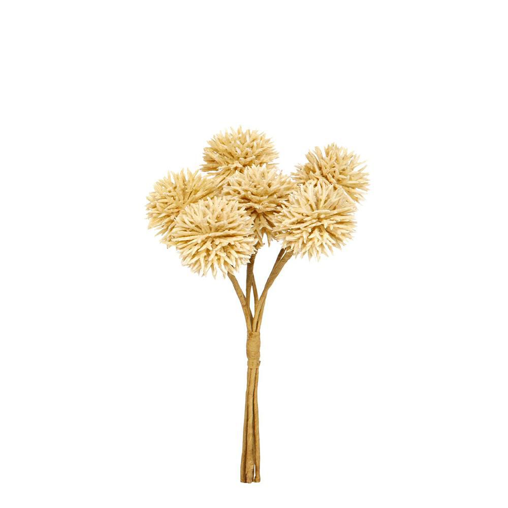 SET 12 BUSH CARDO DA 6 PZ. CM.12 BEIGE