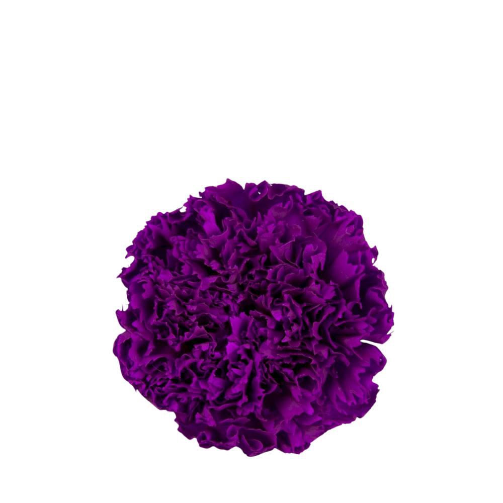 GAROFANO STABILIZZATO PZ.8 VIOLA