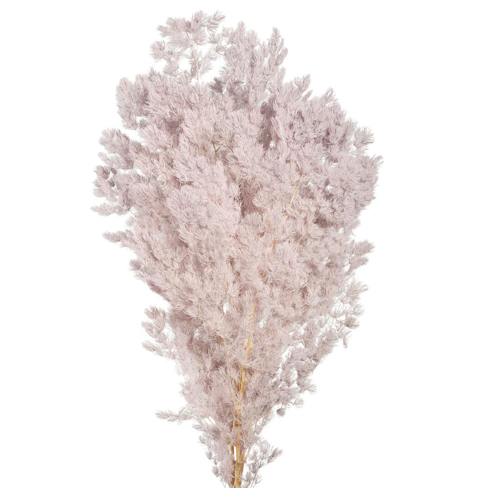 MING FERN STABILIZZATO GR.100 CM.65 ROSA CHIARO