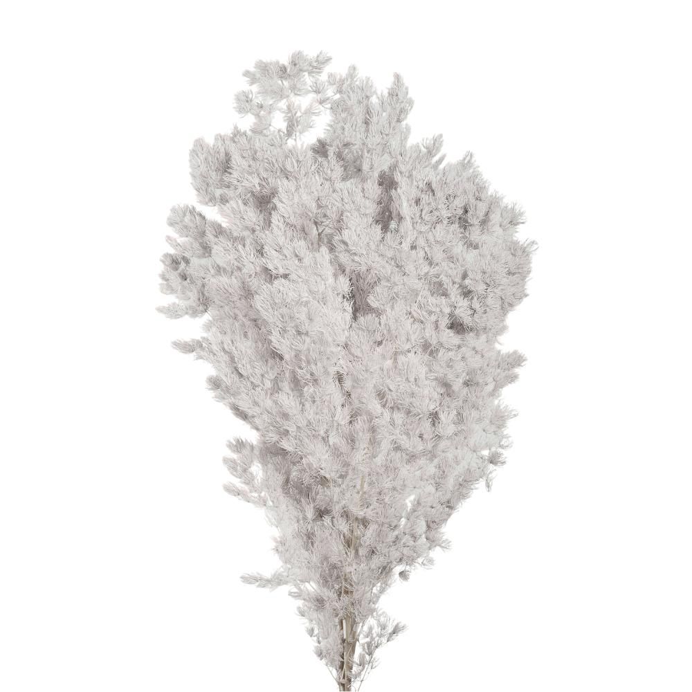 MING FERN STABILIZZATO GR.100 CM.65 BIANCO