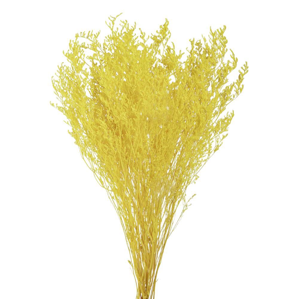 LIMONIUM STABILIZZATO 80GR. CM.70 GIALLO LIMONIUM STABILIZZATO 80GR. CM.70 GIALLO