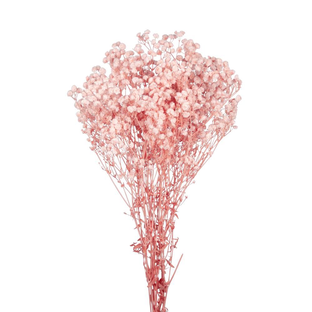 GYPSOPHILA STABILIZZATAGR.120 CM.75 ROSA