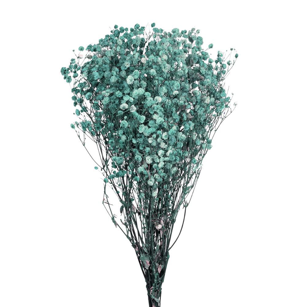 GYPSOPHILA STABILIZZATAGR.120 CM.75 TIFFANY