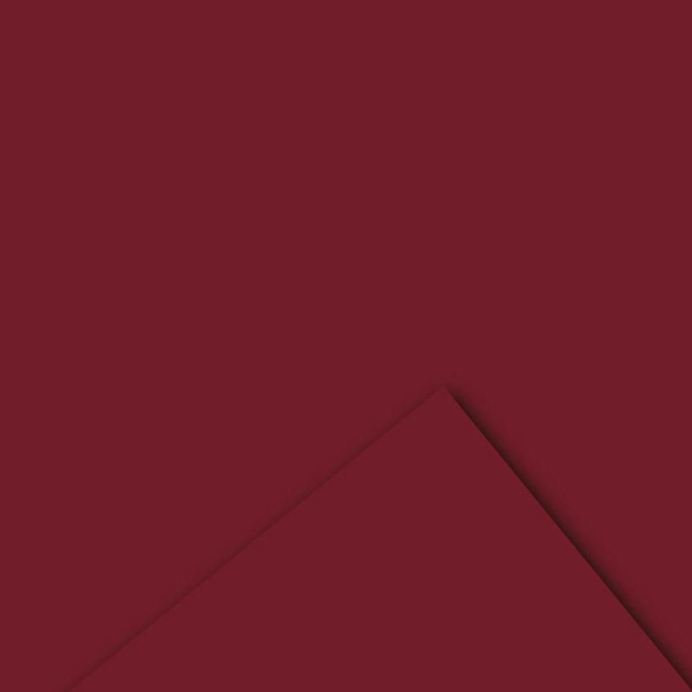 BOBINA PPL -VELVET- CM 100X20 MT 60MY BORDEAUX