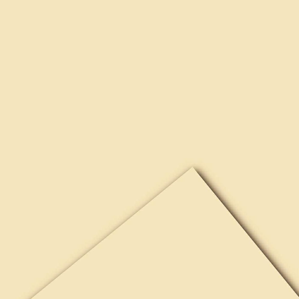 BOBINA PPL -VELVET- CM 100X20 MT 60MY PANNA