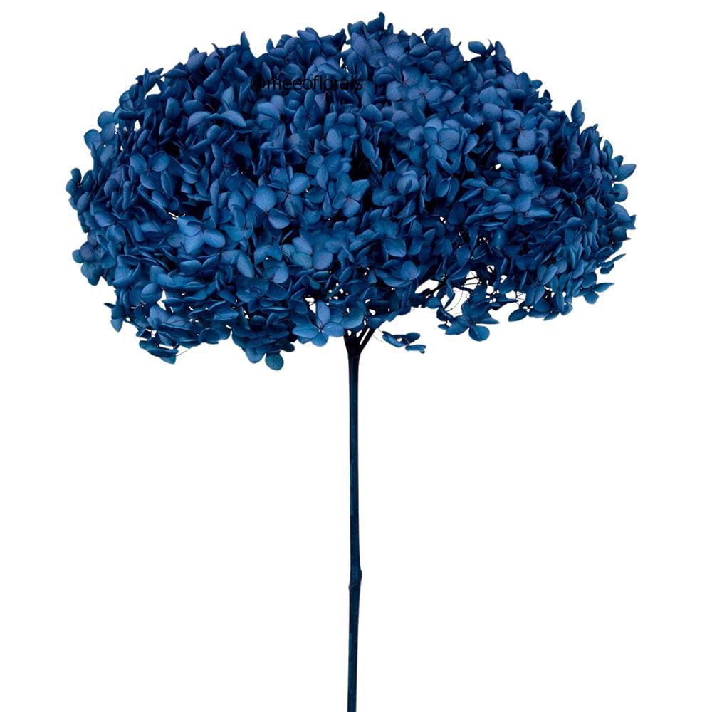 HYDRANGEA STABILIZZATA CM.52 -ANNABELLE NAVY BLUE- BLU