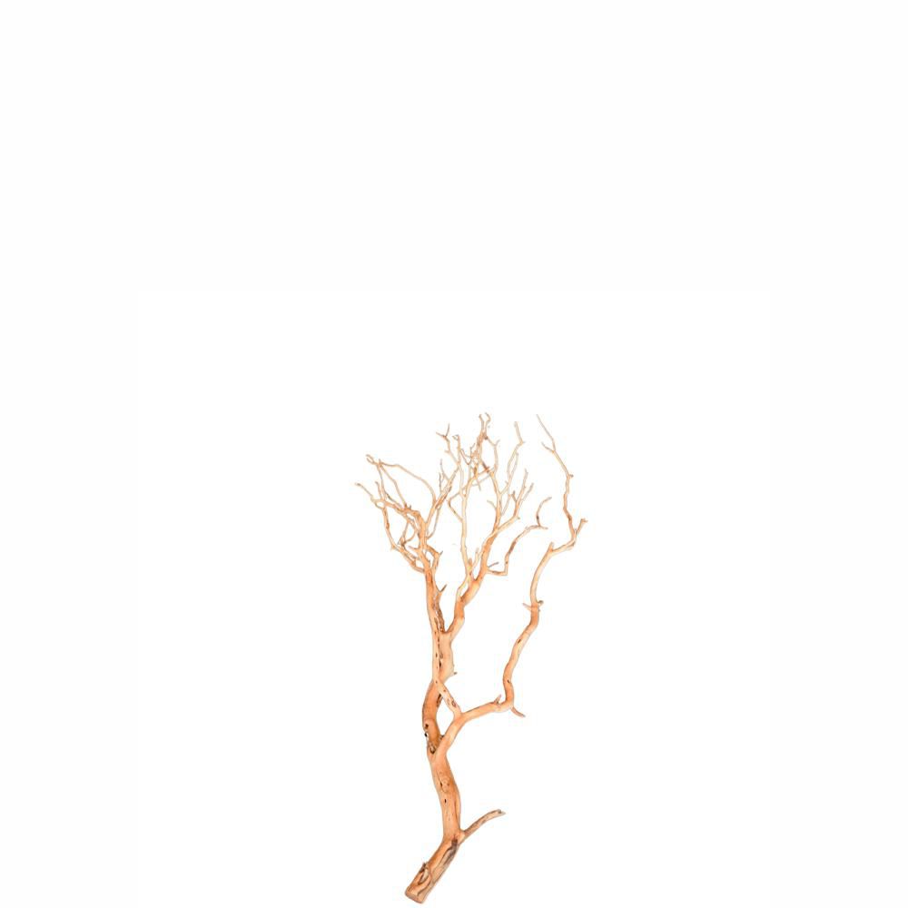 MANZANITE SABBIATA H.36-90 CM NATURALE