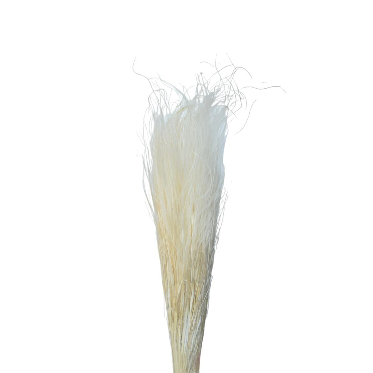 STIPA PENNATA C/PAGLIA SACCHETTO X 70 GR. 80 CM BIANCO/01 STIPA PENNATA C/PAGLIA SACCHETTO X 70 GR. 80 CM BIANCO/01