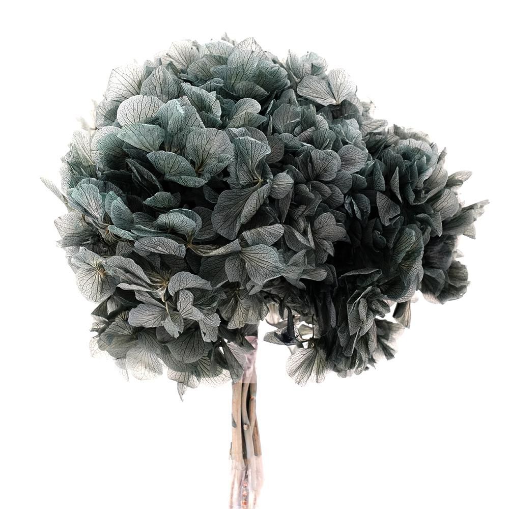 HYDRANGEA STABILIZZATA CM.40 MUSCHIO 218/P