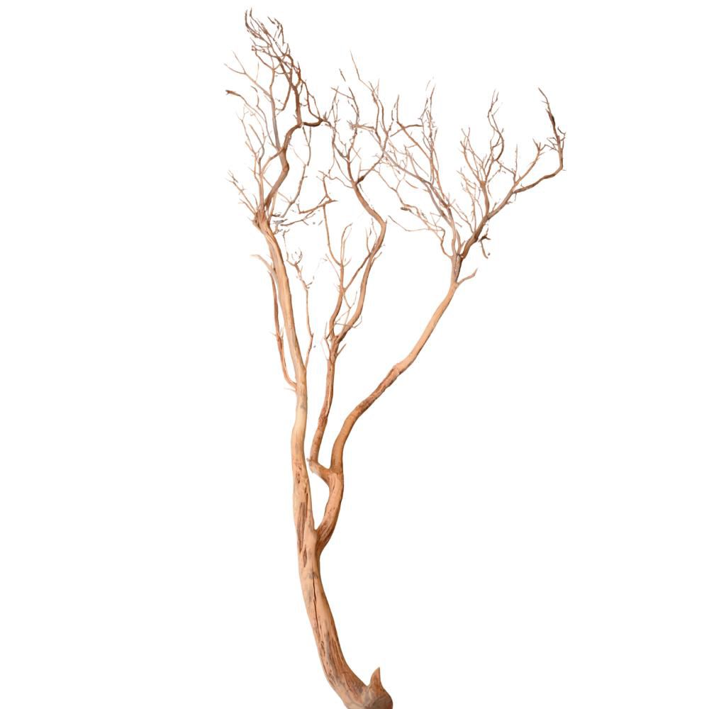 MANZANITE SABBIATA H.80-200 CM NATURALE