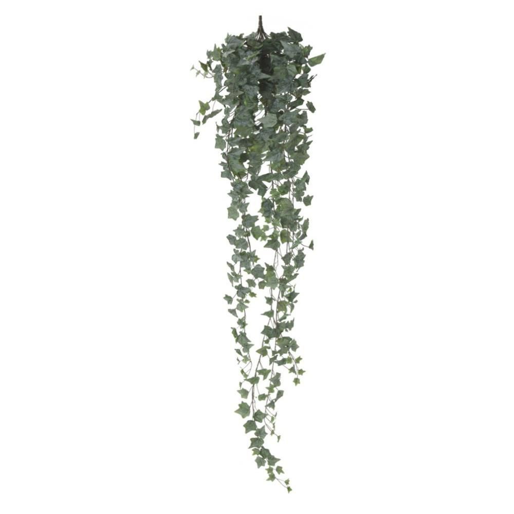 EDERA VITE MINI BUSH 423F CM.180 VERDE FROSTED