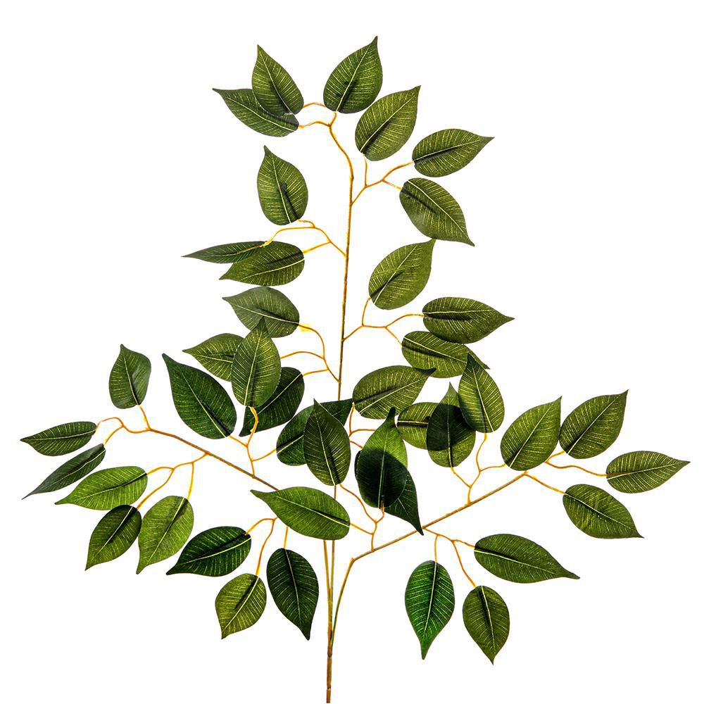 FICUS FOGLIA 42X CM.56 VERDE