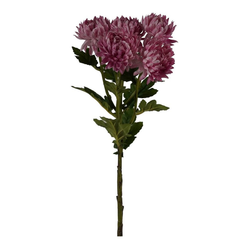 CRISANTEMI BOUQUET 6F. CM.60 ROSA SCURO
