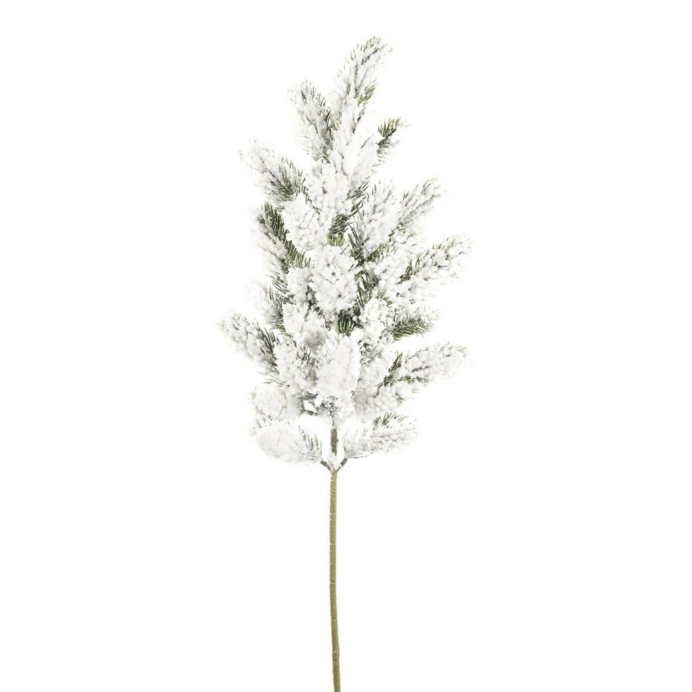 ABETE NORMANDIANO RAMO CM.65 INNEVATO