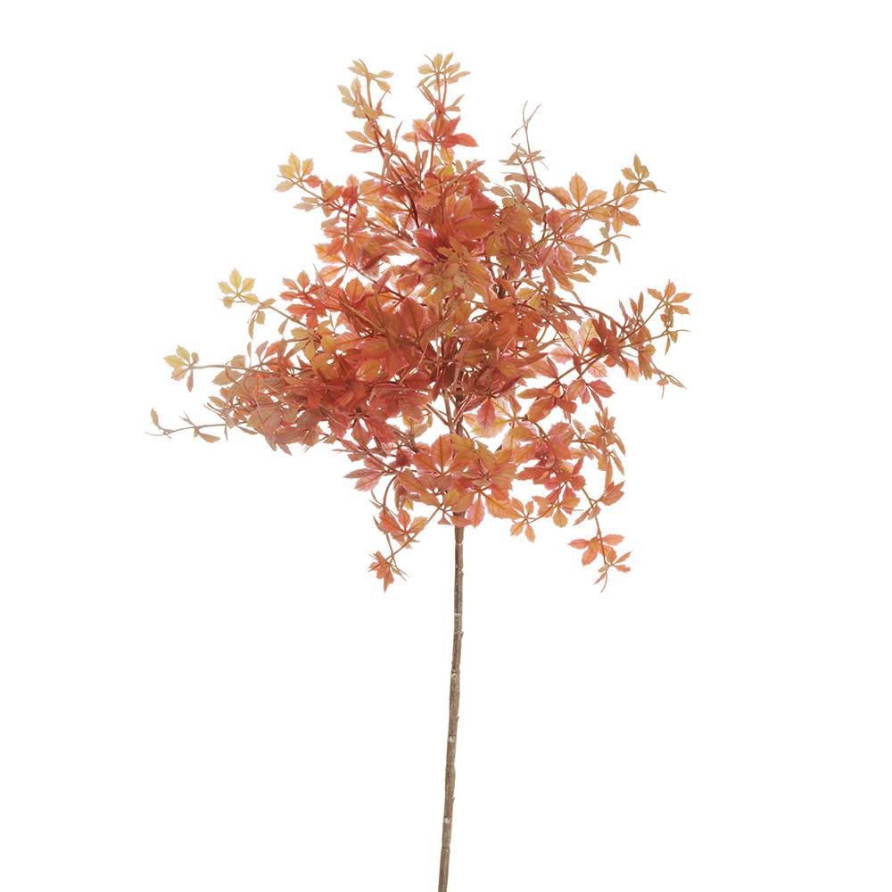 MINI AMERICAN GRAPE 24FG CM.59 MALVA