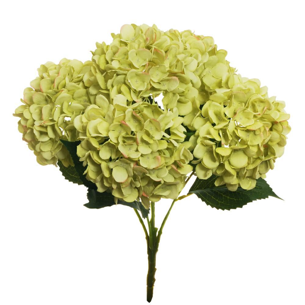 HYDRANGEA BOUQUET 5X CM.50 -JULIET- VERDE CHIARO