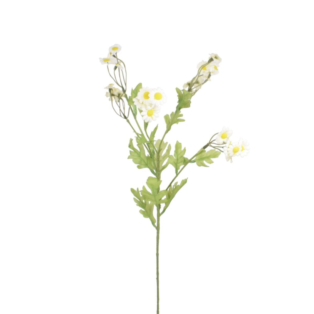 CAMOMILLA SPRAY 6X CM.53,5 BIANCO