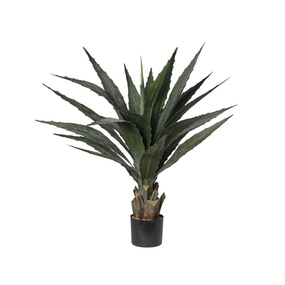 AGAVE PIANTA C/VASO CM.96,5 VERDE