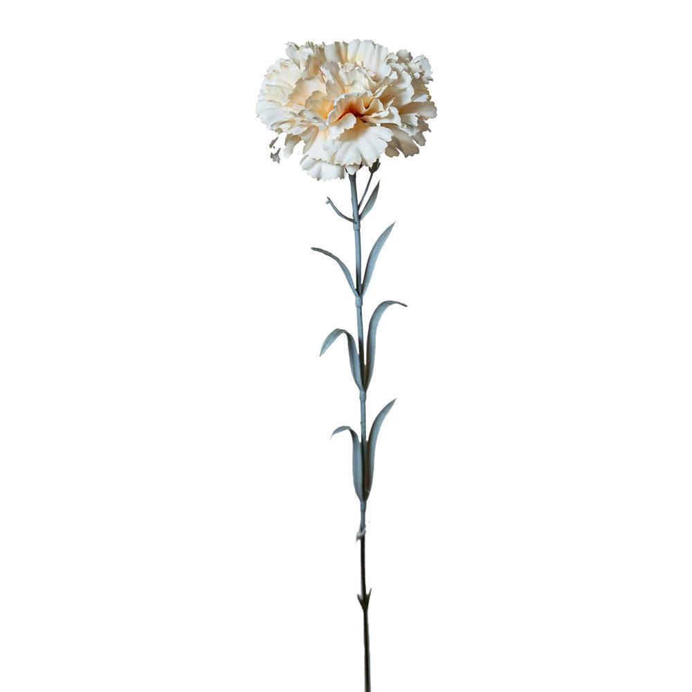 GAROFANO CARNATION CM.55 AVORIO
