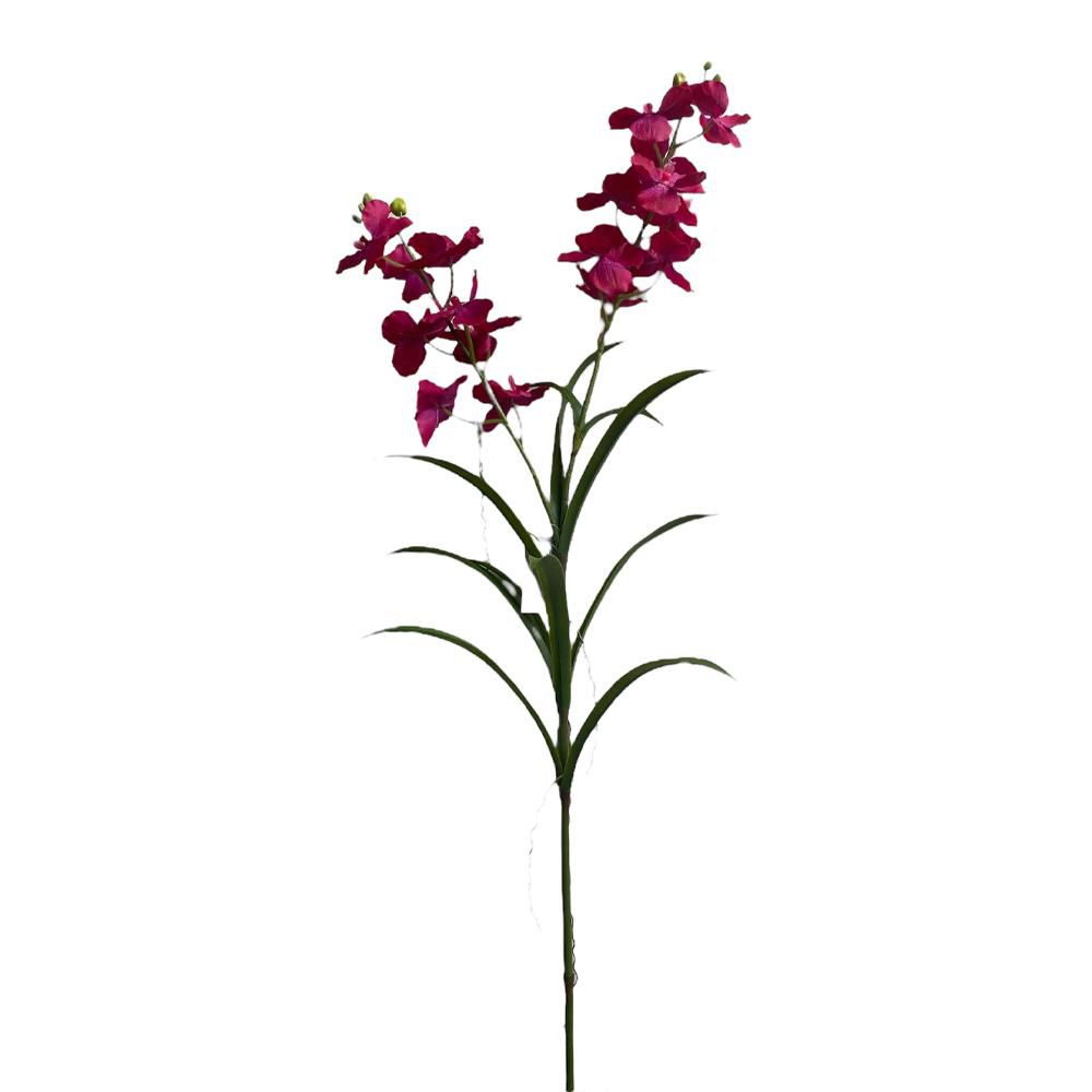 WANDA SPRAY 2X CM.110 FUCSIA