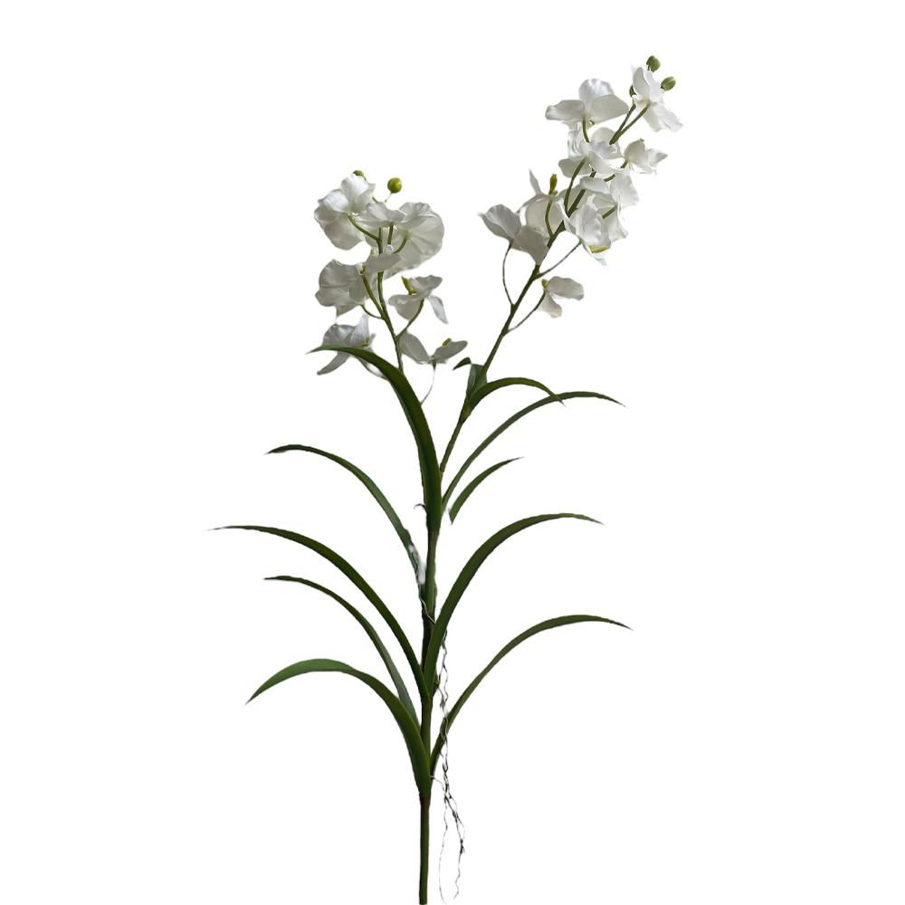 WANDA SPRAY 2X CM.110 CREMA