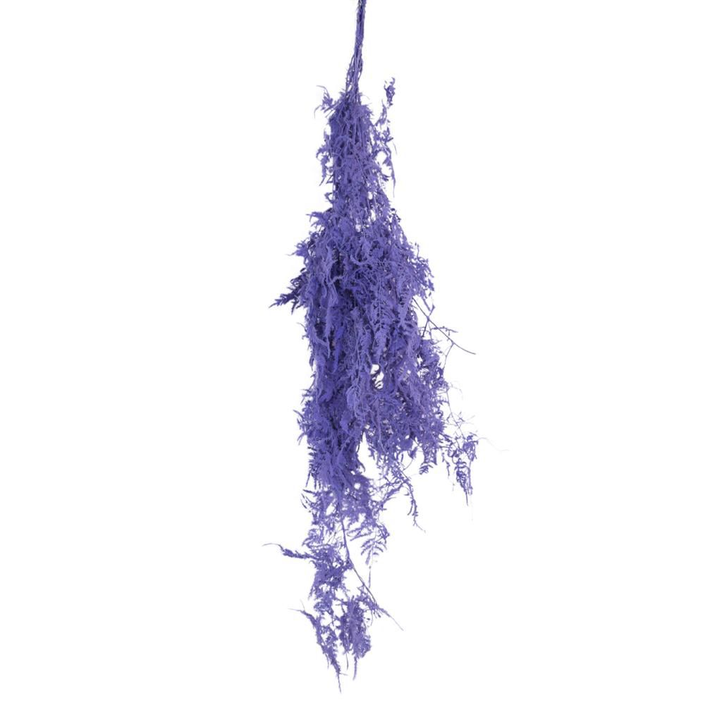 PLUMOSO-SPUNTONE MAZZO 10 STELI CM.100 VIOLA PLUMOSO-SPUNTONE MAZZO 10 STELI CM.100 VIOLA