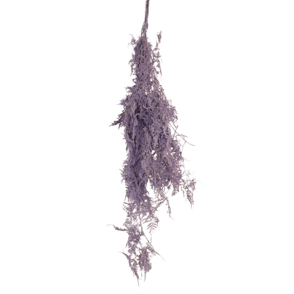 PLUMOSO-SPUNTONE MAZZO 10 STELI CM.100 VIOLA CHIARO