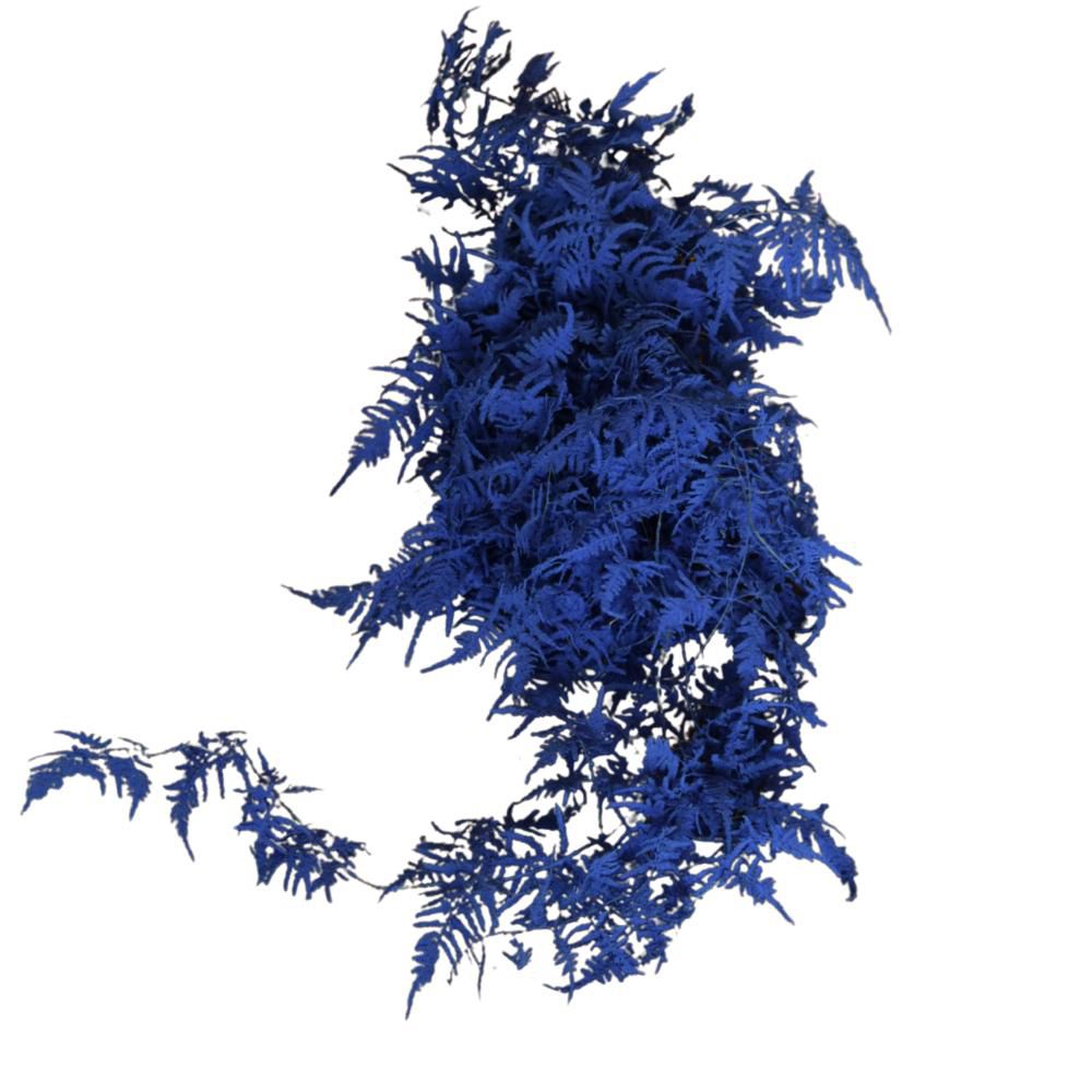 PLUMOSO-SPUNTONE MAZZO 10 STELI CM.100 BLU