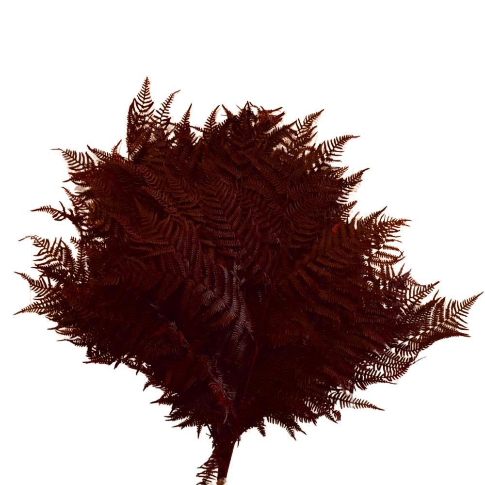 FELCIONE STABILIZZATO CONF.PZ.10 CM.60 MORA 58/P