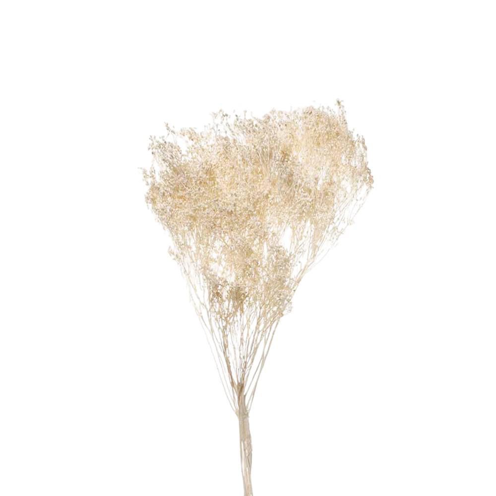 BROOM BLOOM H.55 CM GR.100 BIANCO