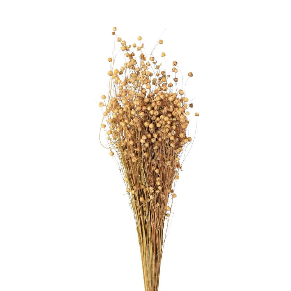 LINO SACCHETTO GR.100 NATURALE LINO SACCHETTO GR.100 NATURALE