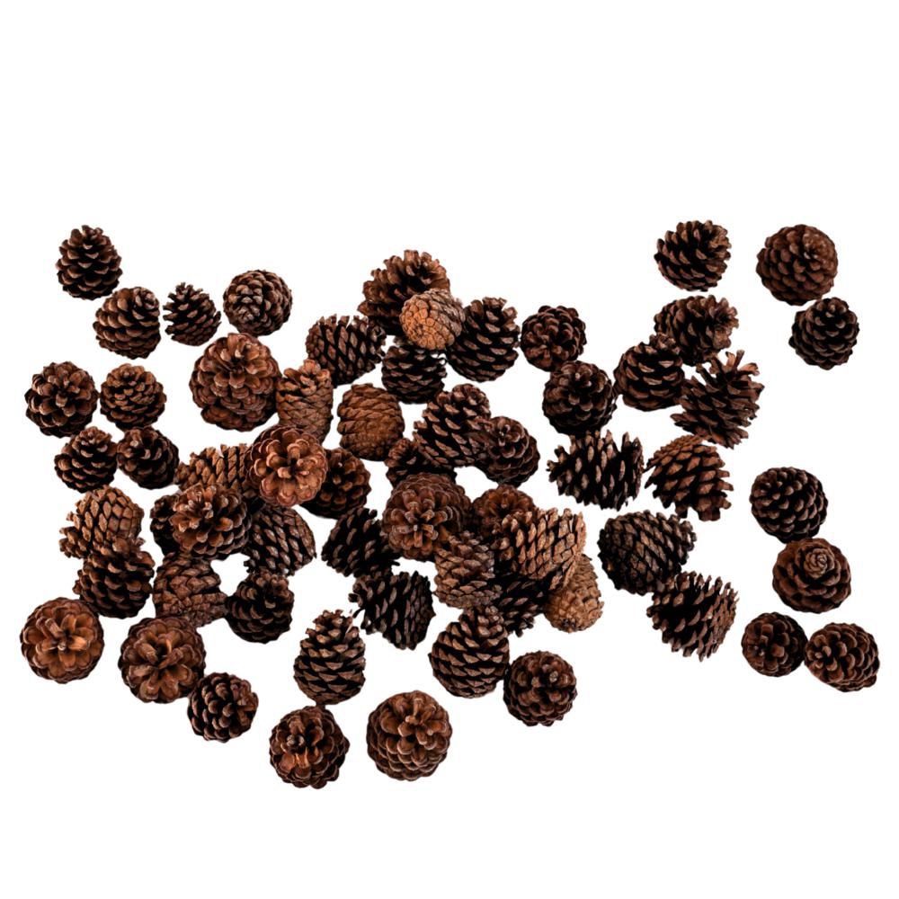 CONTORTA MUGO SACCHETTO500 GR. NATURALE