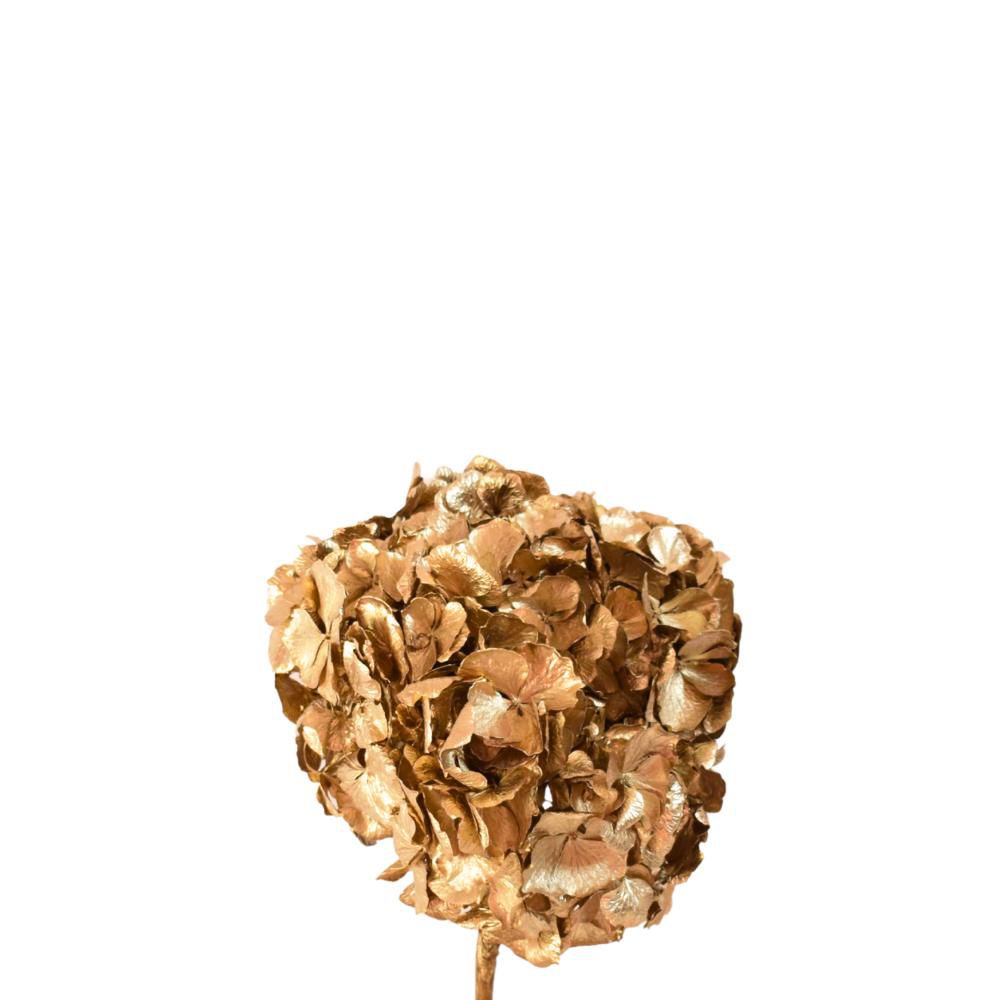 HYDRANGEA STABILIZZATA CM.35 ORO