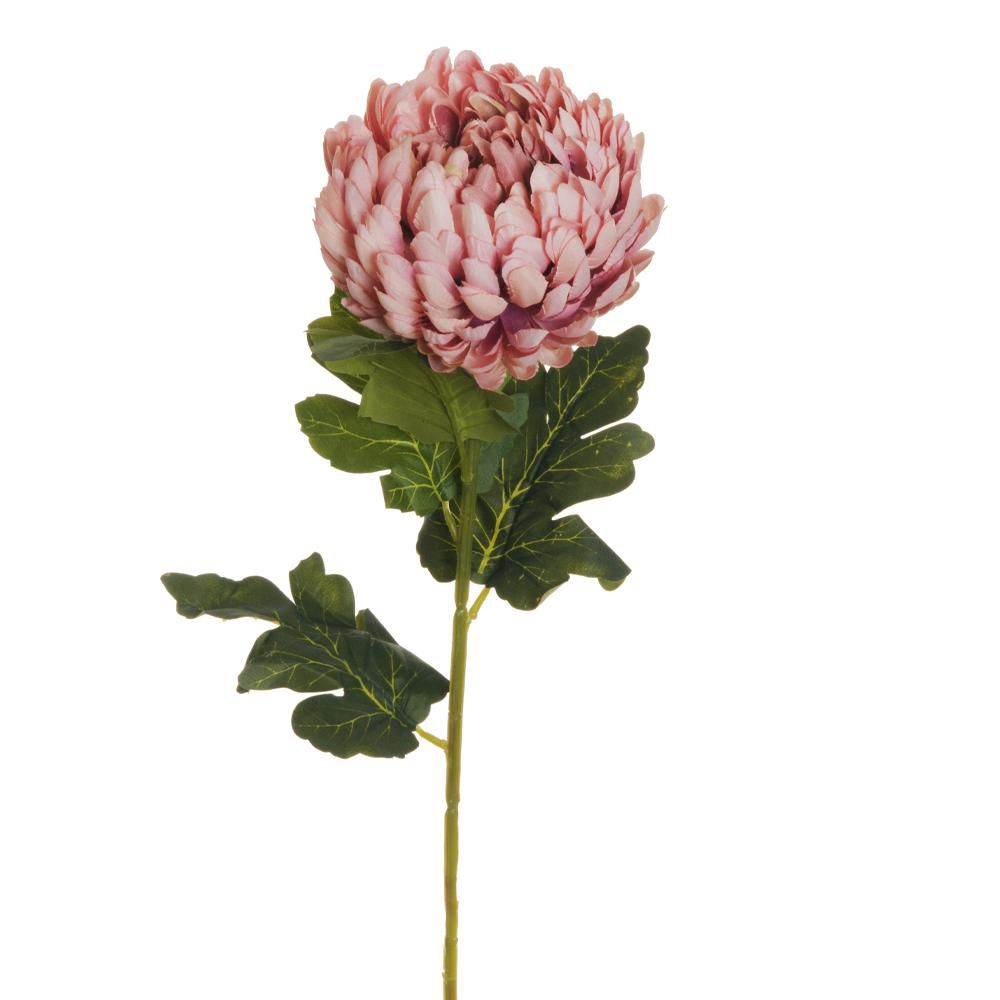 CRISANTEMO 4F CM.76 ROSA