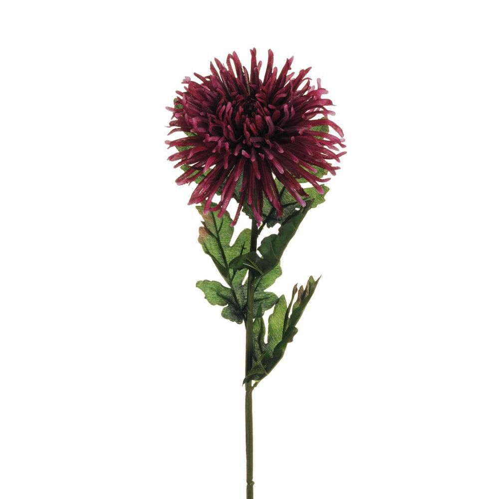 CRISANTEMO SPIDER 5F CM.80 PURPLE/FUCSIA