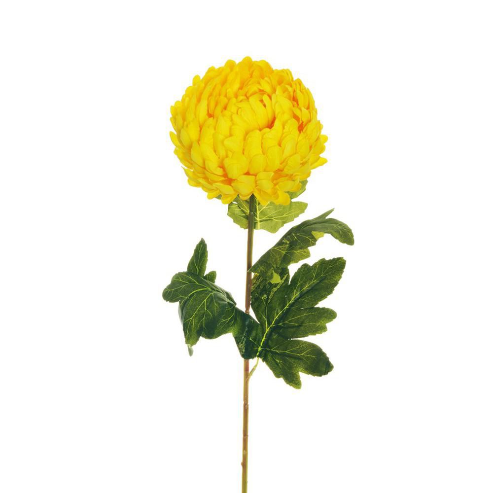 CRISANTEMO 4F CM.76 GIALLO