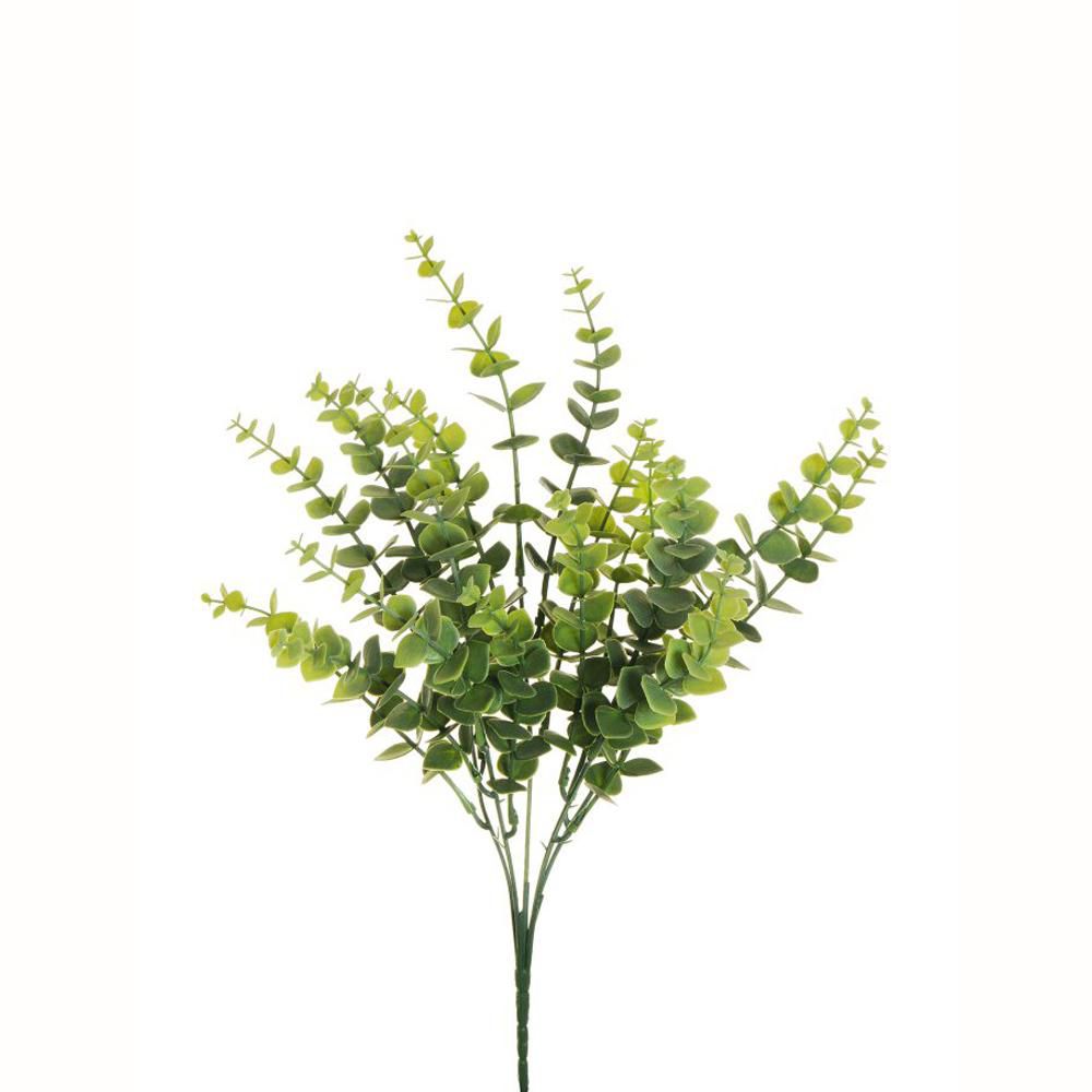 EUCALYPTO BUSH 5X CM.39VERDE