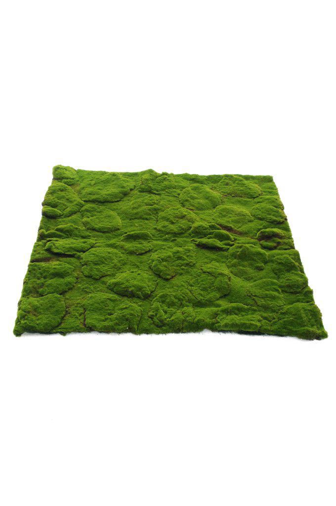 MATTONELLA MUSCHIO CM.100X100 VERDE