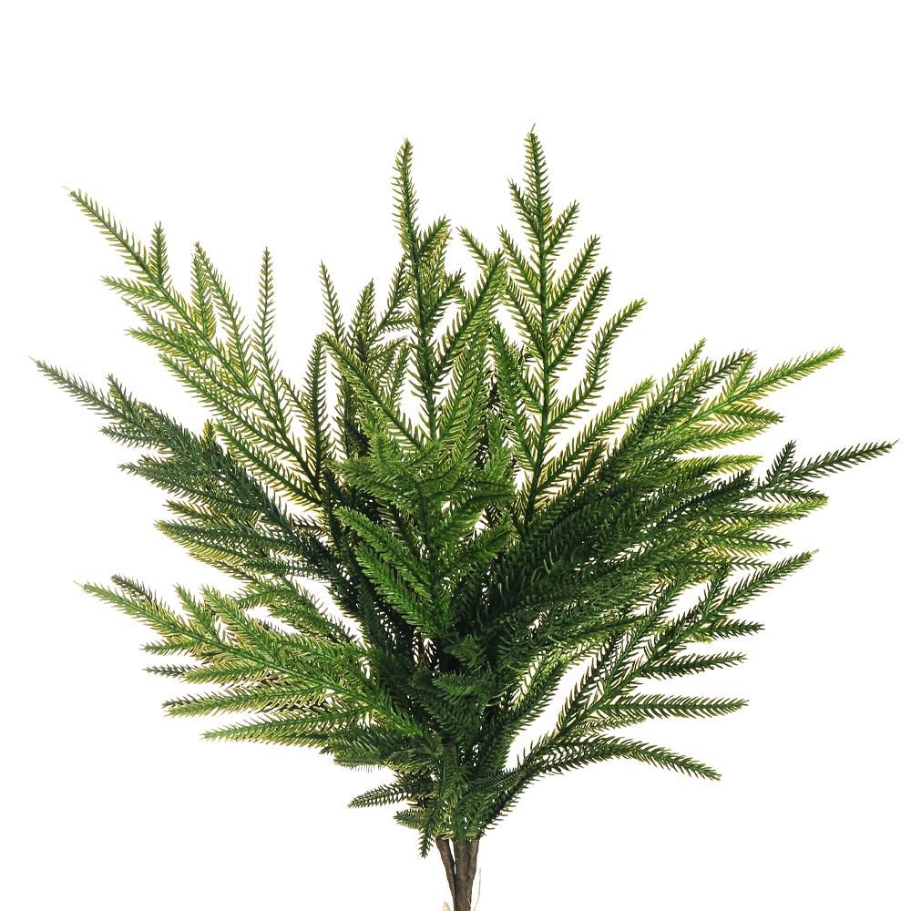 PINO BUSH 3X CM.72 VERDE