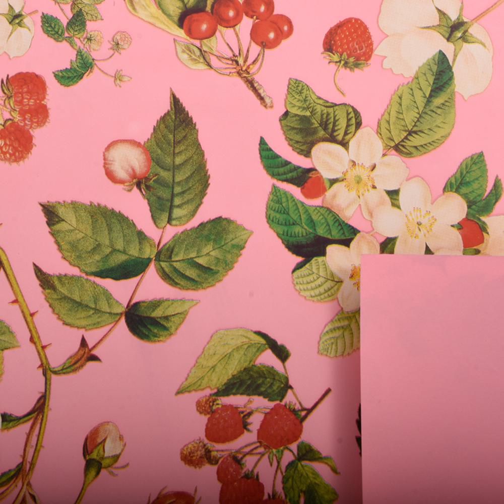 BOBINA PPL C/FRAGOLE 1X25 MT -TASTY GARDEN- ROSA