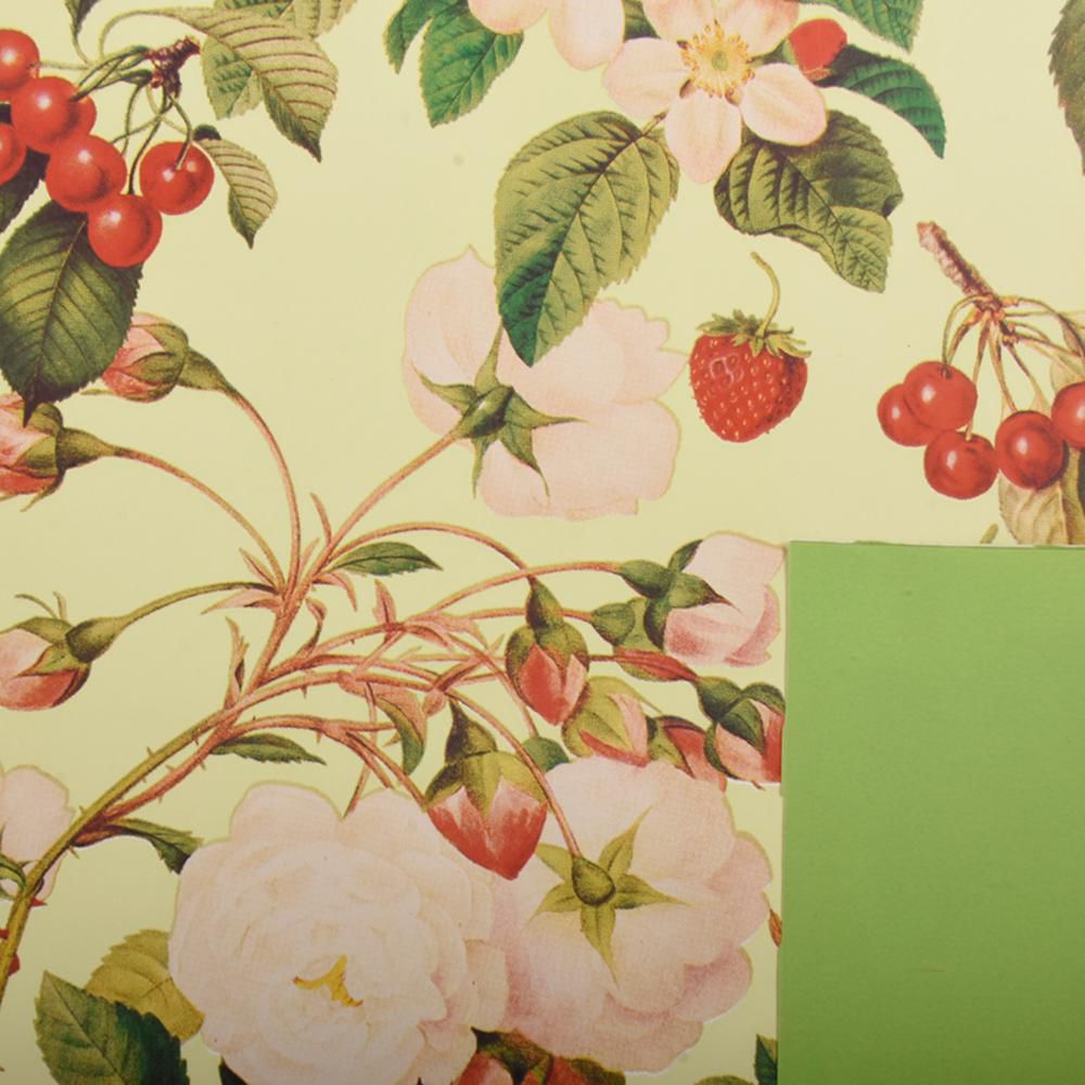 BOBINA PPL C/FRAGOLE 1X25 MT -TASTY GARDEN- VERDE