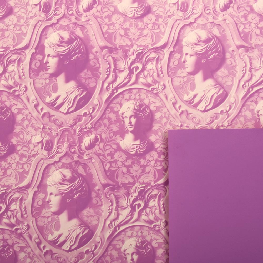 BOBINA PPL C/DAMA 1X25 MT -CAMEO- VIOLA BOBINA PPL C/DAMA 1X25 MT -CAMEO- VIOLA